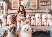 Rumah Guguk Petshop, Destinasi Seru Untuk Pet Lovers di Bandung