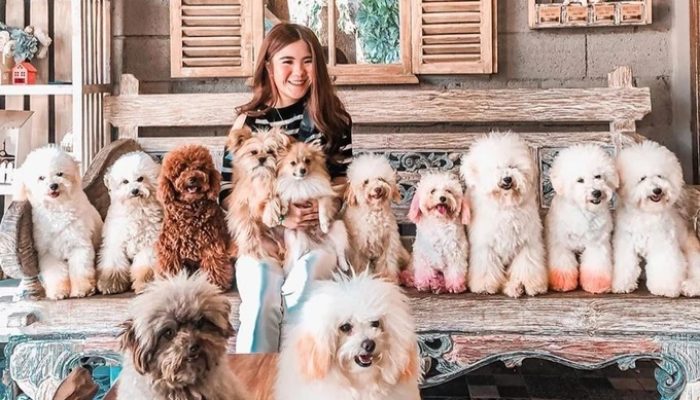 Rumah Guguk Petshop, Destinasi Seru Untuk Pet Lovers di Bandung