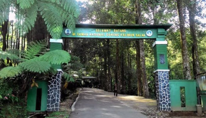 Pendaki Protes Soal Regulasi Gunung Halimun Salak Via Ajisaka