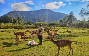 Kampung Rai Ranca Upas Bandung: Surga Tersembunyi di Tanah Priangan