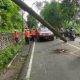 Pohon Tumbang di Jalan Bandung-Sumedang, Seorang Anak Tewas