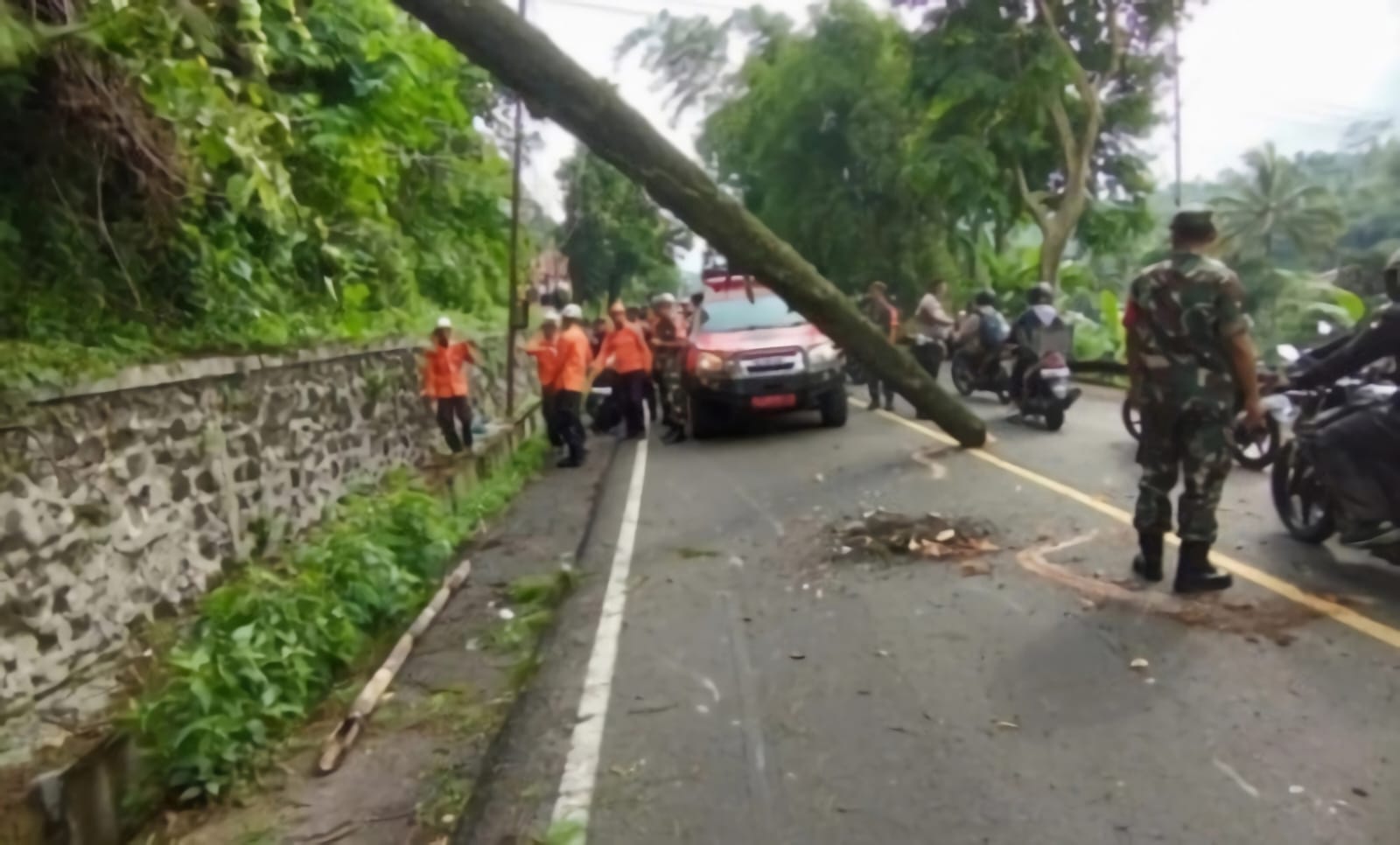 Pohon Tumbang di Jalan Bandung-Sumedang, Seorang Anak Tewas