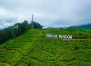10 Hektar Lahan di Kawasan Puncak Bogor Gundul 