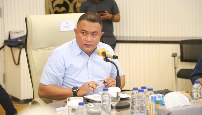 Bupati Bogor Terima Audiensi IPB University, Bahas Kolaborasi Desa Digital hingga Ketahanan Pangan