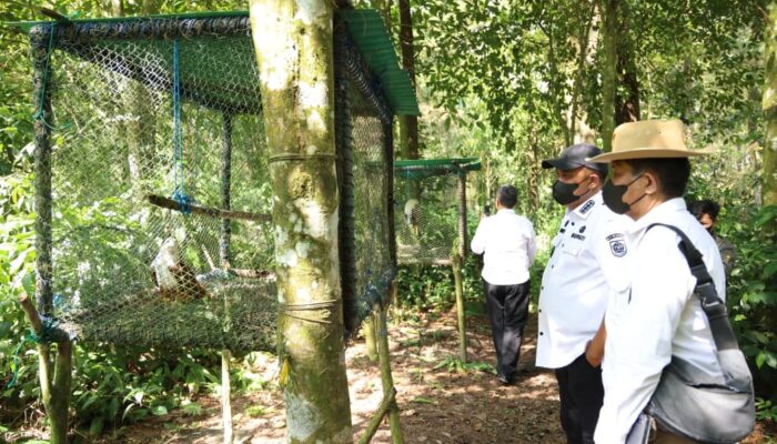 Bupati Bogor Tekankan Pentingnya Pelestarian Elang Jawa Sebagai Aset Dunia