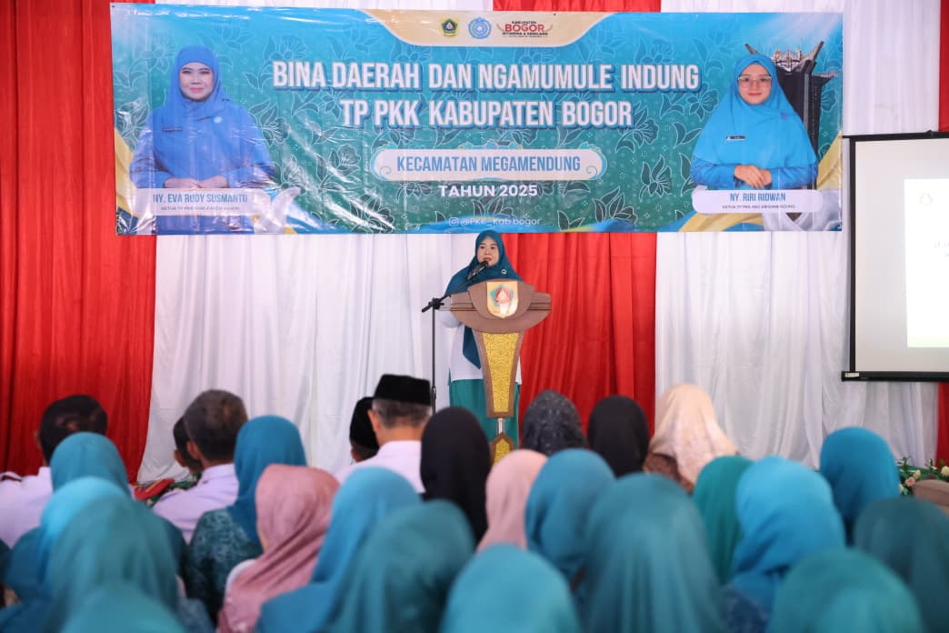 Ketua TP PKK