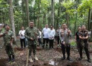 Terinspirasi Hutan Organik, Rudy Susmanto Targetkan Setiap Kecamatan Punya Hutan Kota