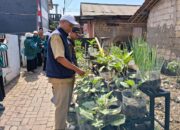 Kampung Ramah Lingkungan