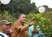 Pasar Petani Garuda Mulai Dioperasionalkan, Bupati Bogor Dorong Penguatan Petani dan Ketahanan Pangan Daerah