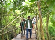 Bupati Bogor Komitmen Hijaukan Kabupaten Bogor Melalui Penanaman Pohon Di Seluruh Wilayah Kabupaten Bogor