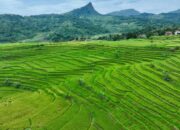 Pemkab Bogor Percepat Pemerataan Pembangunan di Bogor Timur, Sukamakmur Jadi Pusat Ekonomi Baru 